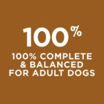 Purina Dog Chow Real Chicken & Beef Gravy Dry Dog Food, 16.5 lb Bag - Image 2