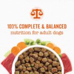 Purina Beneful Simple Goodness Dry Dog Food Farm Raised Beef - Image 3