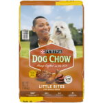 Purina Dog Chow Real Chicken & Beef Gravy Dry Dog Food, 16.5 lb Bag