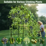 Garden Plant Climbing Frame U-Shaped Garden Trellis for Climbing Plants Vegetable - Image 5
