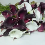 5PCS Artificial Flowers Calla Lily Faux PU Fake Flowers for Weddings Photography Props DIY Bridal Bouquets Home Room Party Decor - Image 6