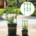 3/6/9/12Sets Plant Support Pile Stand Flowers Plant Arrangement Fixing Rod Plants Stake for Garden Supplies Home Yard Planting - Image 3