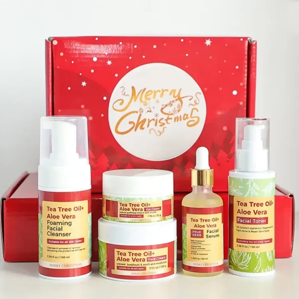 organic Anti-Aging Skin Care Set with Tea Tree Oil Aloe Vera Vitamin C Hyaluronic Acid Features Christmas Gift anti pimple
